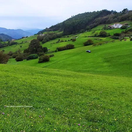 Lejlighed Asturias, Valle Nalon *